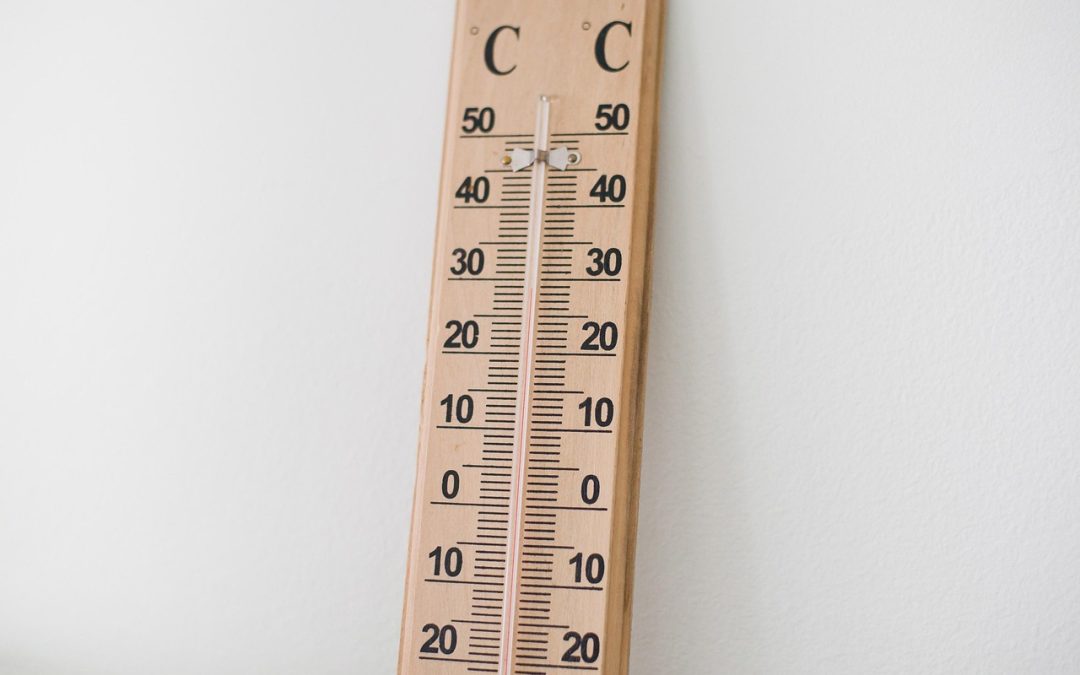 Langkah Strategis Dinas Kesehatan dalam Penerbitan BPJS