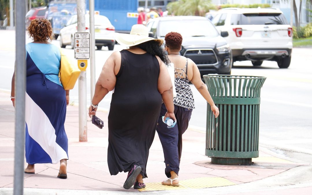 Meningkatkan Kesadaran Tentang Pertanian Berkelanjutan di Bandar Lampung.